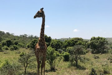 A to Z of a Tanzania Tour