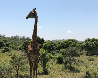 A to Z of a Tanzania Tour